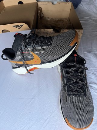 Nike Pegasus Trail 5 Reactx 44.5