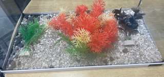 Acuario Aquatlantis 21L