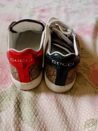 Sneakers Gucci Uomo Donna Marrone Verde