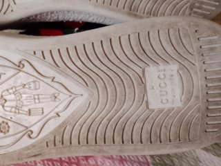 Sneakers Gucci Uomo Donna Marrone Verde
