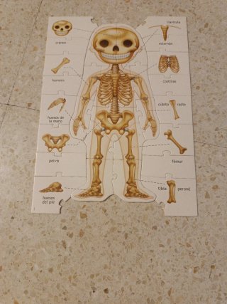 Puzzle El Cuerpo Humano Educa 4-7 años