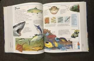 Tu primera enciclopedia