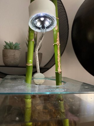 Nano acuario con plantas y luz LED