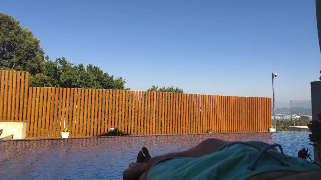 PALOS DE MADERA DE PINO PARA CIERRES Y VALLADOS