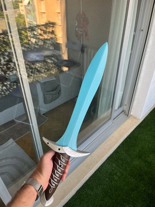 Disfraz carnaval Frodo El Señor de los Anillos
