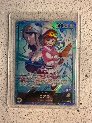 Koala OP12-081