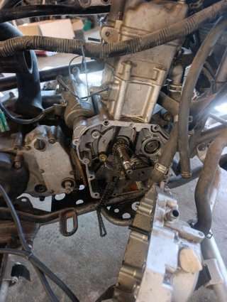 Quad Hammel para piezas