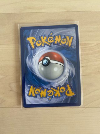 Carta Pokémon Entrenador Partidario Surfista