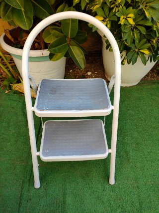 Escalera de 2 Peldaños