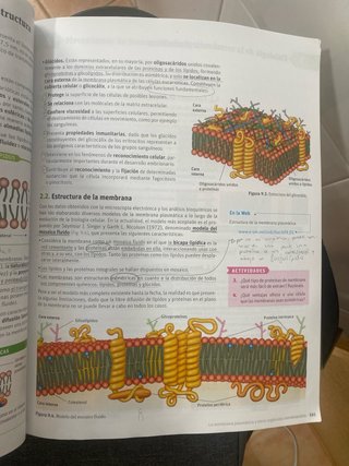 Biología, 2 Bachillerato