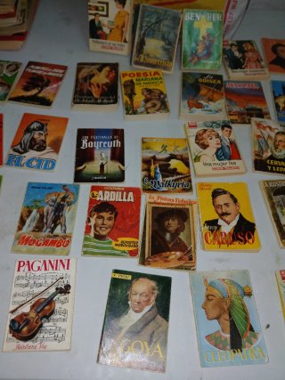 Lote de 15 Libros Clásicos y Novelas
