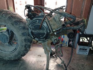 Motor  Piaggio Ntt mas cableador electrico mas