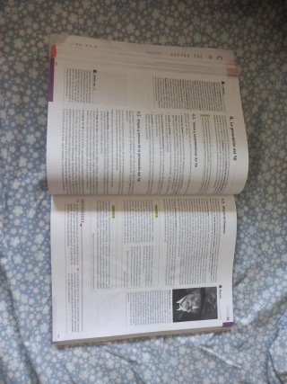 Lengua castellana y Literatura 2o Bachillerato