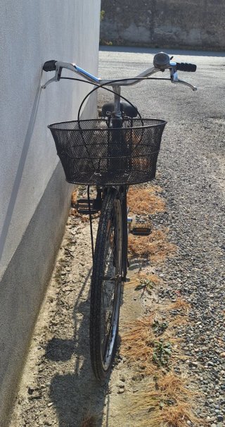 Bicicletta Bottecchia con cestino