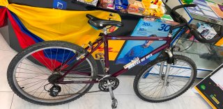 Bicicleta Montaña Morada
