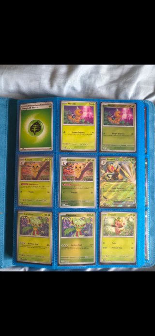 Colección Cartas Pokémon: Megaevolución Caos Creci
