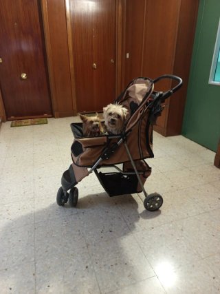 Cochecito para mascotas marrón y negro