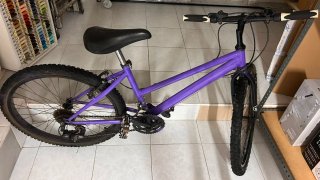 Bicicleta Morada Montaña
