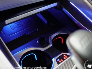 BMW XM XM 550 kW (748 CV) Label