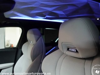 BMW XM XM 550 kW (748 CV) Label