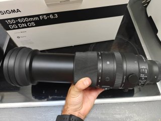 Sigma 150-600mm F5-6.3 DG DN OS | Sports – Sony E