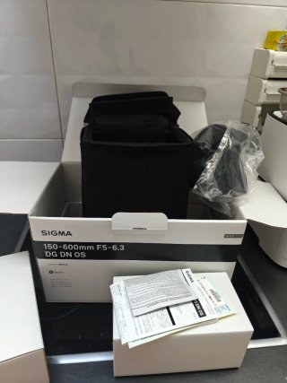 Sigma 150-600mm F5-6.3 DG DN OS | Sports – Sony E