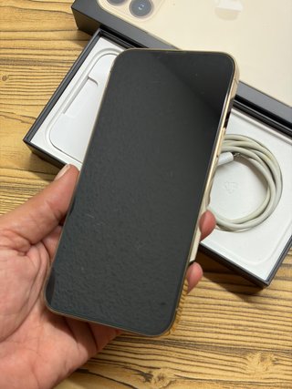 iPhone 13 Pro Max GOLD