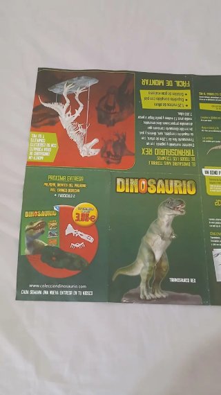Póster Dinosaurio T-Rex Doble Cara