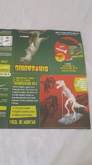 Póster Dinosaurio T-Rex Doble Cara