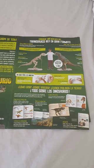 Póster Dinosaurio T-Rex Doble Cara