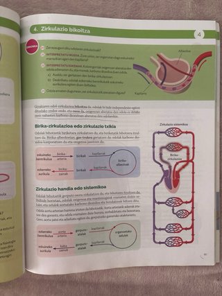 BIOLOGIA ETA GEOLOGIA 3 DBH MUNDUAK ERAIKITZEN