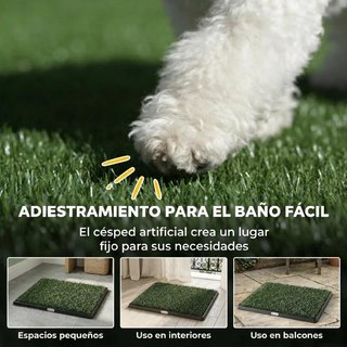 Inodoro Perros Césped Artificial Bandeja Drenaje