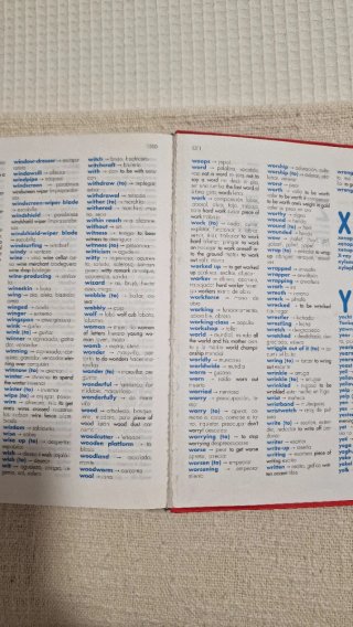 Diccionario Primaria lengua española marca Vox