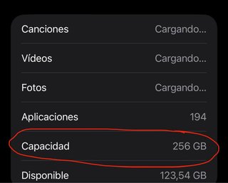 iPhone 12 Pro Max 256 GB