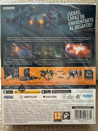 Endless Dungeon Day One Edition PS5