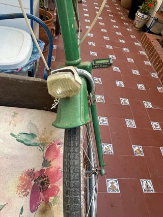 Bicicleta verde clásica. Solo recogida. Rota Cadiz