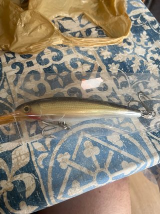 Señuelo Rapala X-Rap Magnum 20