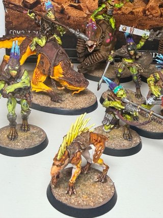 Combat Patrol Kroot Warhammer