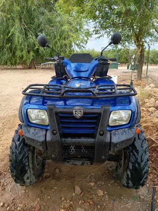 Quad Suzuki Twinpeaks 700 cc