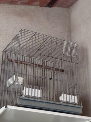 Jaula grande para pájaros