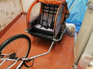 Remolque para niños para bicicleta