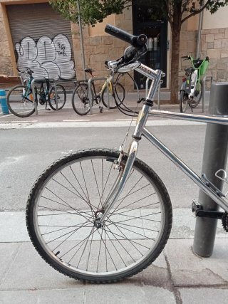 Bicicleta de Montaña Plata