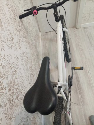 Bicicleta Indur