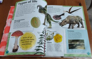 My Book of Dinosaurs and Prehistoric Life