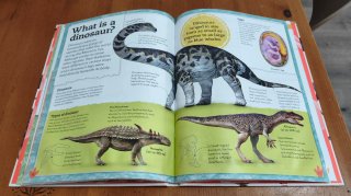 My Book of Dinosaurs and Prehistoric Life