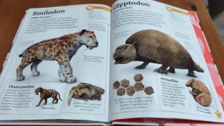 My Book of Dinosaurs and Prehistoric Life