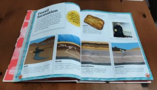 My Book of Dinosaurs and Prehistoric Life