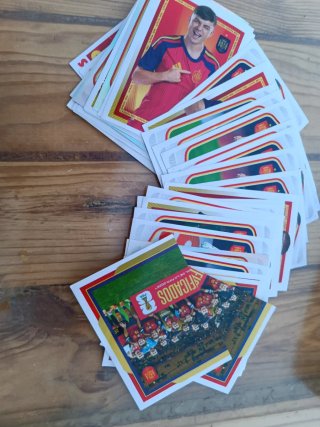 Lote 42 cromos selección Carrefour