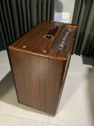 Amplificador de válvulas AXL