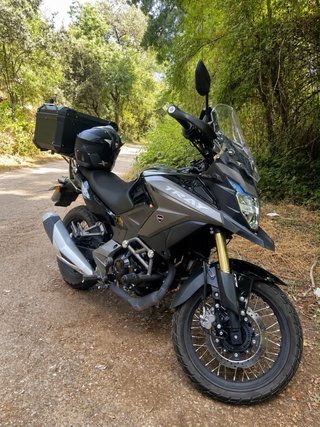 MH Tray 125cc 2026